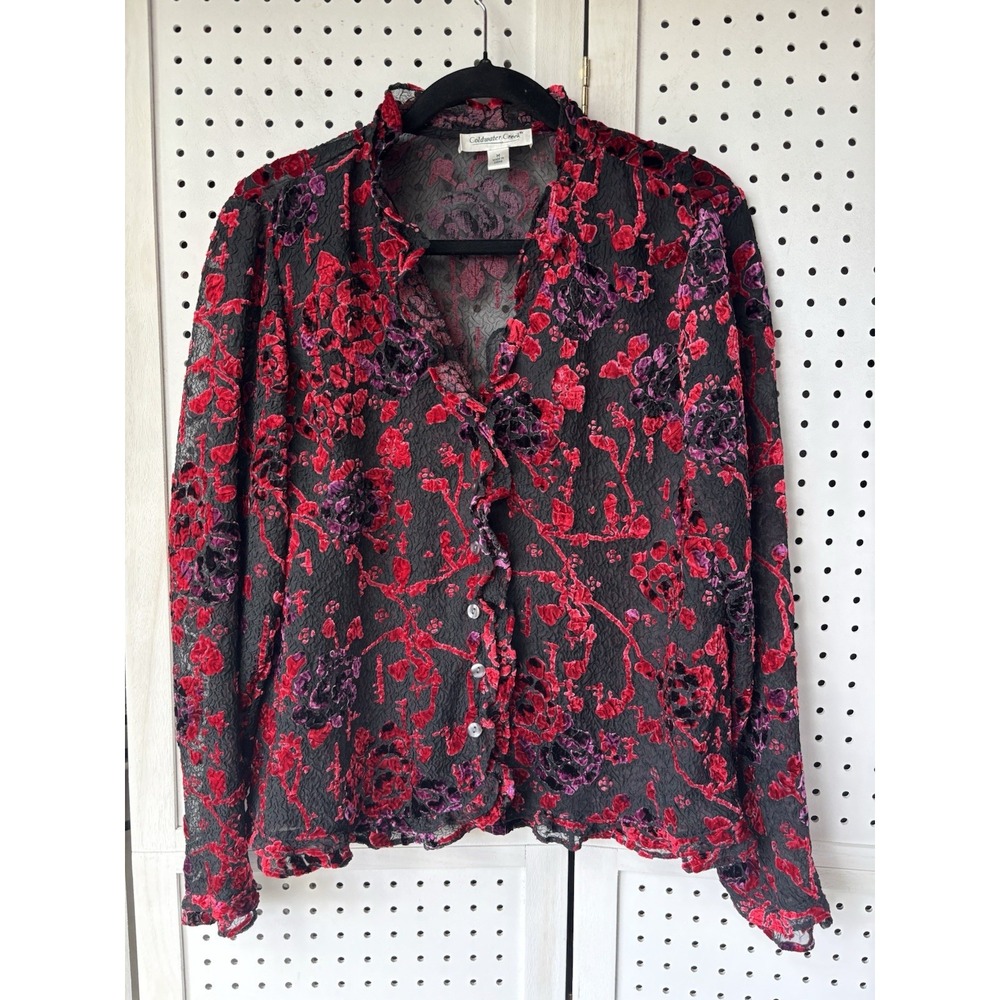 Coldwater Creek Mesh Sheer Crinkle Burnout Velvet Ruffle Button-Up‎ Shirt Size M